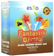 Esila Fantastik Dörtlü Yaz Çayı 45 Poşet