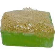 Şifaver Kabak Lifli Aloe Vera Sabunu 125 Gr